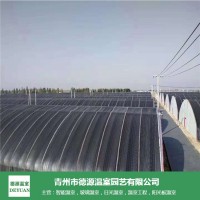 新型日光温室大棚厂可加工定制--青州德源