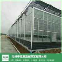 食用菌玻璃温室大棚承建
