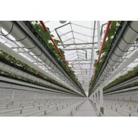 智能温室铝型材-空中草莓栽培系统-水动力种植塔-反渗透净化机