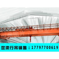 浙江宁波双梁起重机厂家LH16吨双梁葫芦行吊