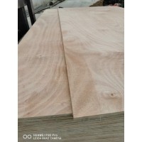 杨木包装垫板夹板 单面红胶合板