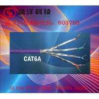 盛洋科技供应高品质FFTPCAT6A超六类网络线
