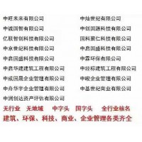 办理无区域公司名称的办理流程