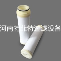 供应天然气系统PES除菌滤芯FA71RPFWH4,419A020W071SP