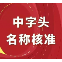 专业代理申请注册无区域公司名称不限区域